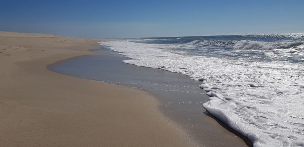 strand,natur