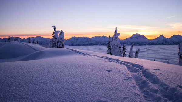 fotografering,sne,solnedgang