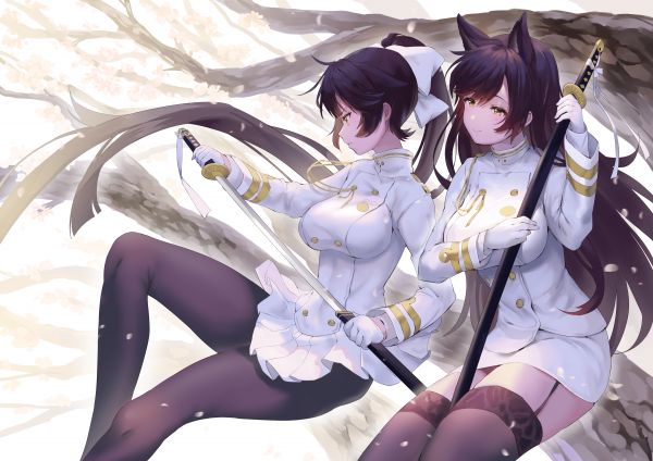 애니메이션,애니메이션 소녀들,Azur Lane,Takao Azur Lane,Atago Azur Lane,포니 테일