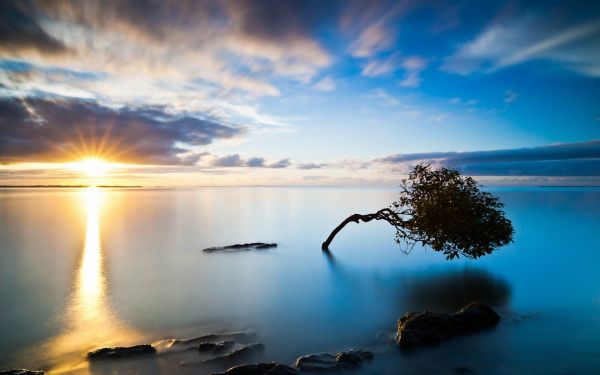 1920x1200像素,海域,海景,skyscapes,日落,树木