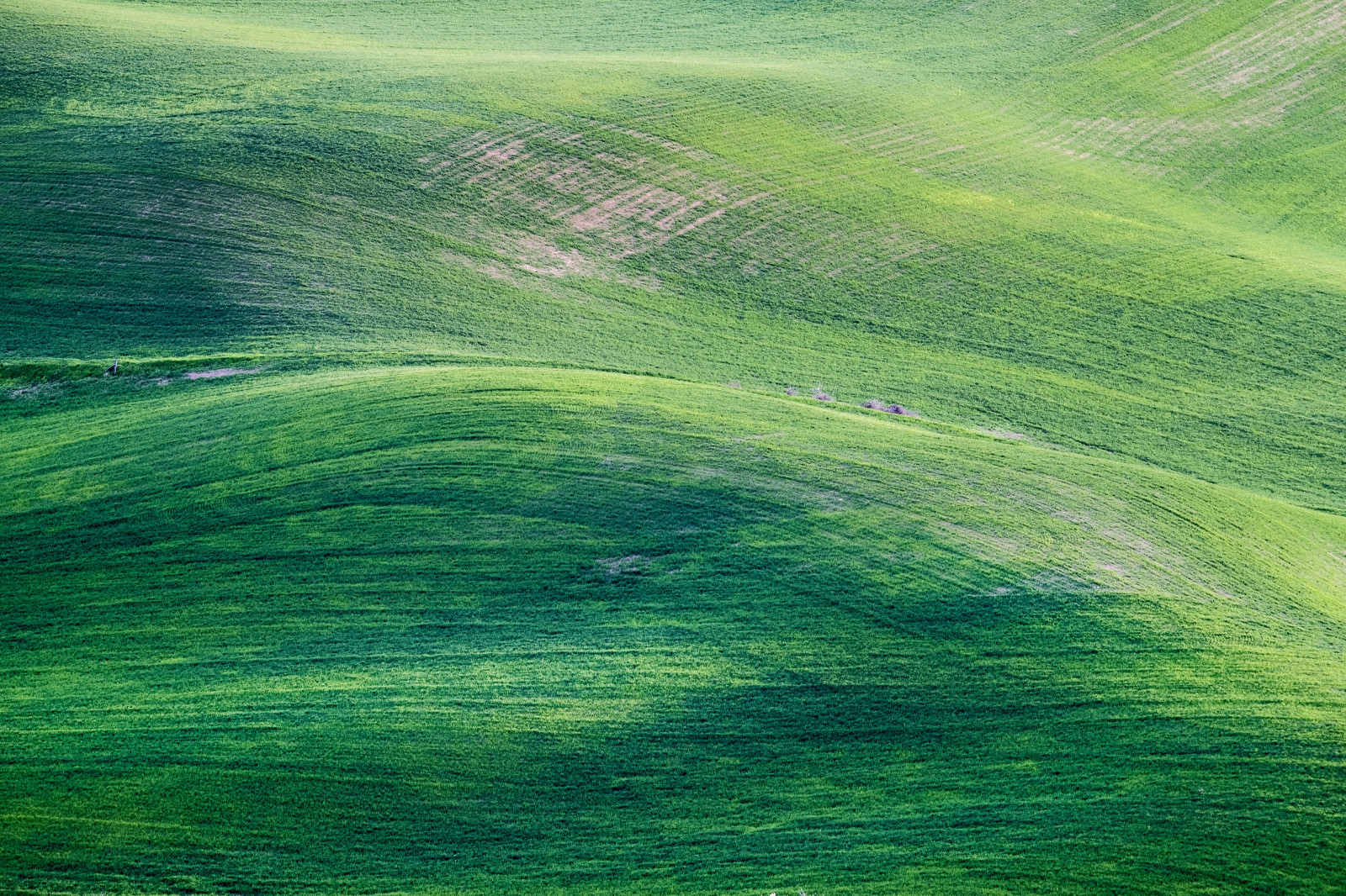 yeşil, Natural landscape, Eğim, People in nature, Ot, Çayır, sade, Manzara, çayır, Desen, toprak örtüsü, Rüzgar, çayır, Tepe, SANAT, otlak, dağ, dikdörtgen, alan, bozkır, ufuk, yol, dalga, kuşbakışı, toprak, tarım, Rüzgar dalgası