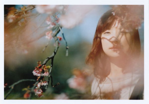 Japón, Canon, Bokeh, retrato, fotografía, primavera