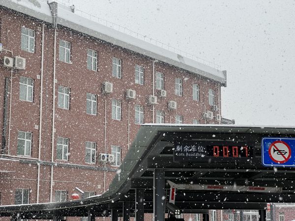 gebouw,venster,lijn,facade,sneeuw,Invriezen