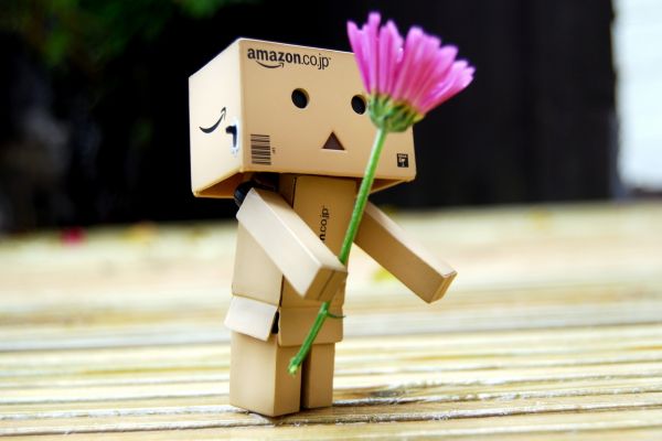 Danbo,Amazonka,květiny