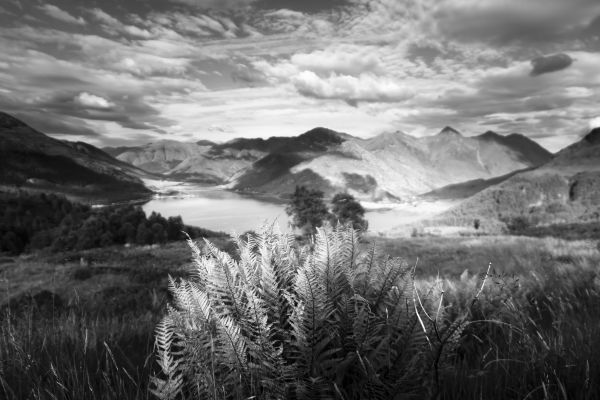 paisaje,contraste,blanco,negro,monocromo,montañas