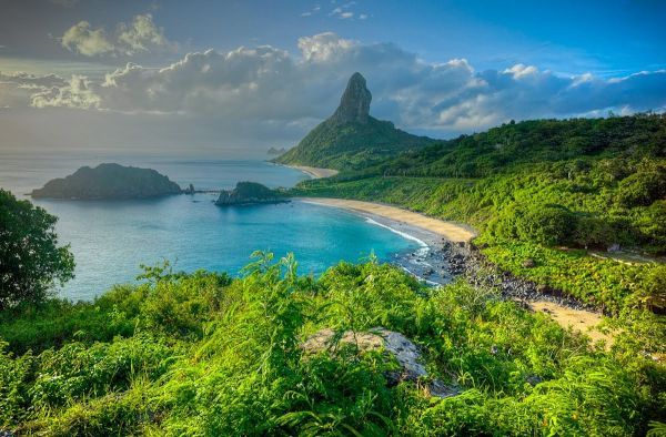 風景,海,湾,水,森林,丘