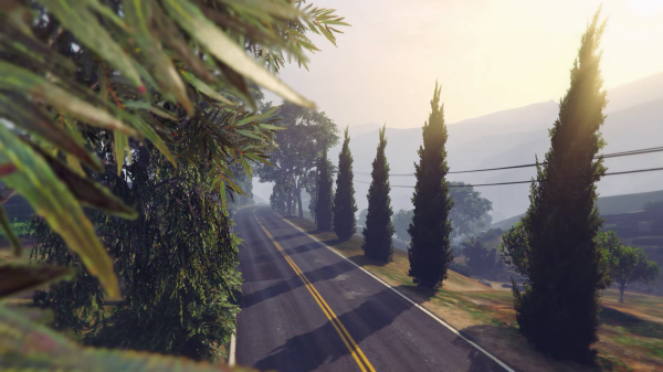 Gta5,Gta online,GTA Landscape,GTA Photography,Árvores,nascer do sol