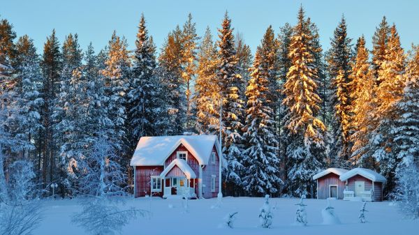 Bos,hemel,sneeuw,winter,huis,vorst