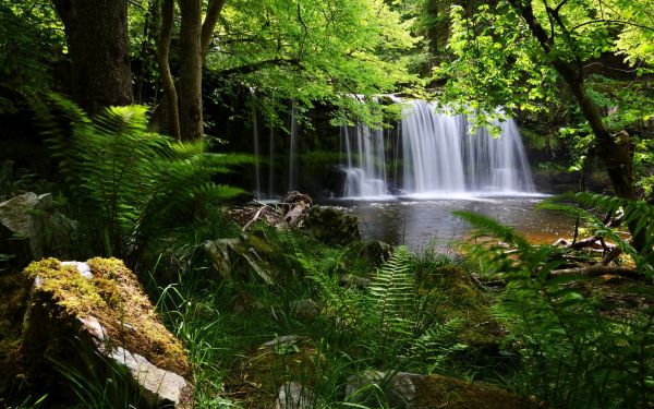 floresta,jardim,natureza,grama,cascata,agua