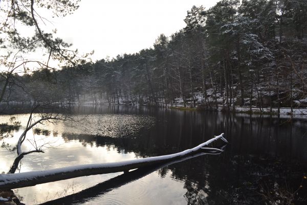 park,göl,kış