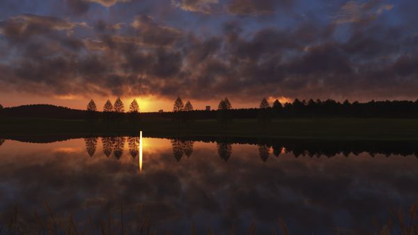 nuvens,Pôr do sol,Árvores,agua