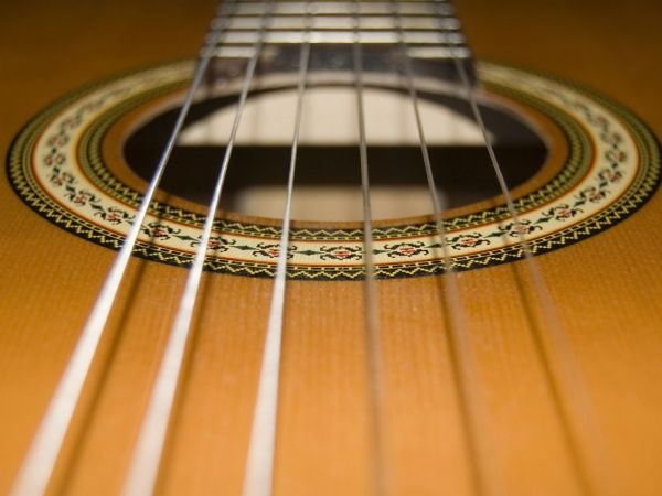 guitar,musical instrument,metal,strings,surface,neck