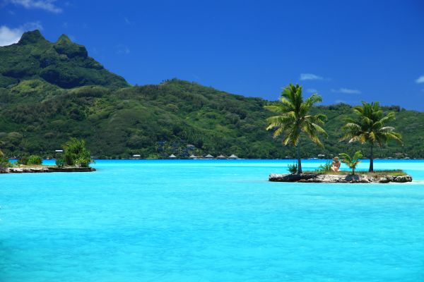 mer,baie,Lac,plage,côte,palmiers