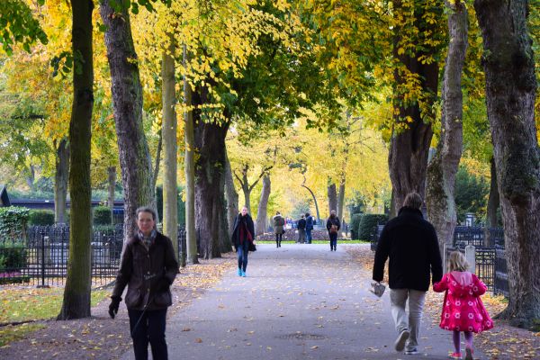 város,temető,Svédország,emberek,park,Európa