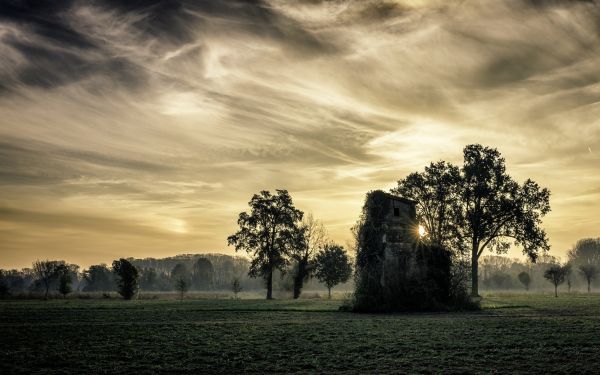 slnečnému žiareniu, stromy, krajina, Taliansko, Monochrome, západ slnka