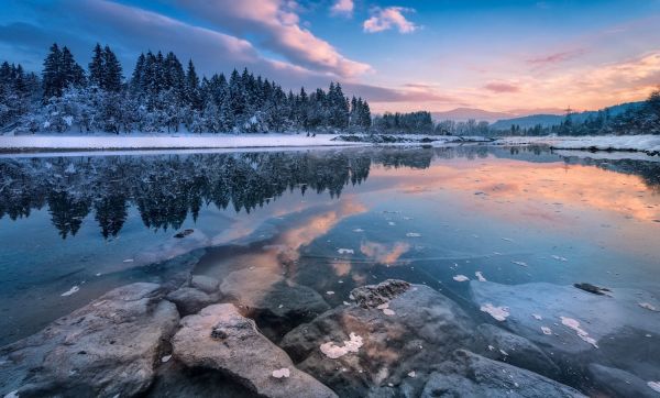 trees,landscape,sunset,sea,lake,water