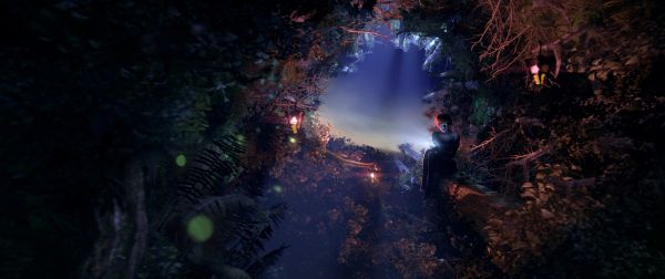 forest, fantasy art, women, night, nature, artwork