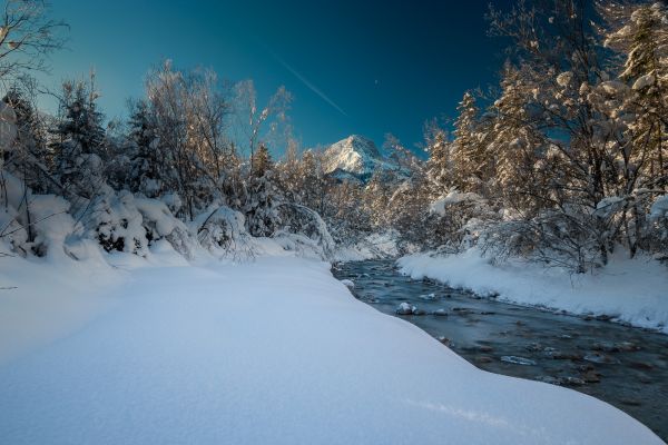 na wolnym powietrzu,Sonnenscheina,Jałowiec,Almtal,asonnenaufgang,Austria