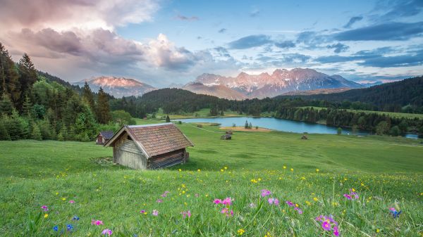 peisaj,cabină,camp,iarbă,flori,lac