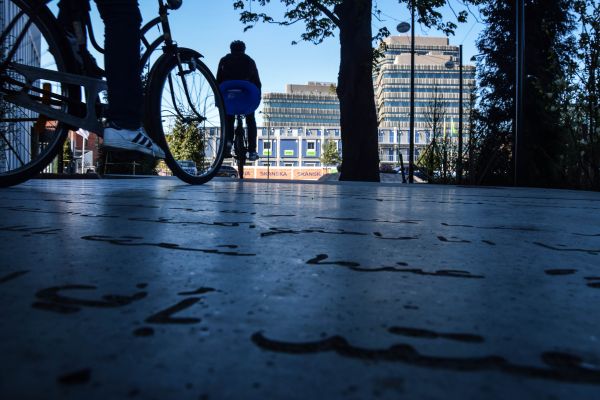 ηλιακό φως,δέντρα,Ανθρωποι,πόλη,δρόμος,Νύχτα