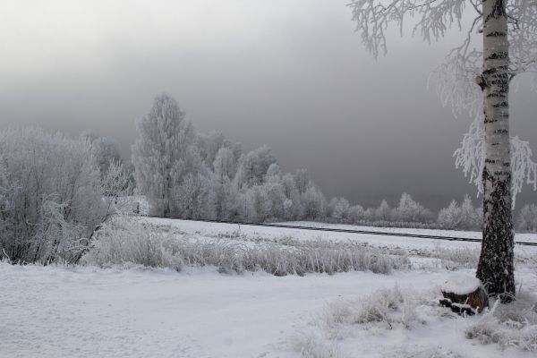 Schnee,mùa đông,tuyết,đường sắt,Vinter,sương giá