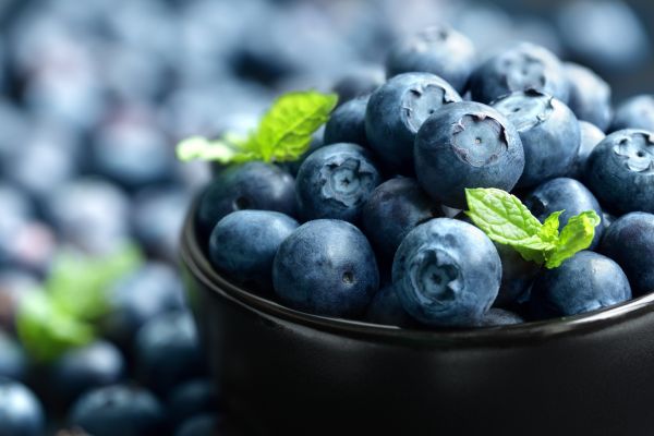 Comida,Macro,fruta,Bagas,plantar,baga