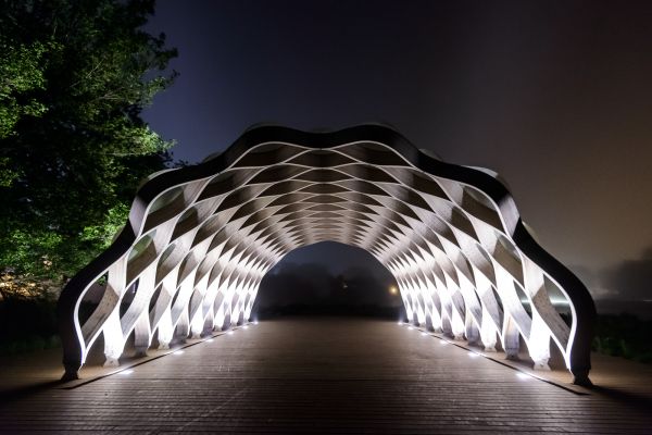 černobílý,noc,architektura,park,symetrie,Chicago