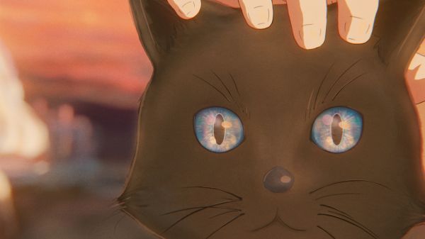 arte digitale,sunset glow,tramonto,anime,gatti,occhi