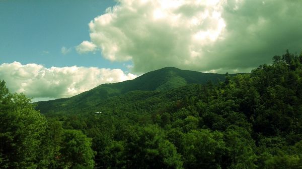 luz solar,panorama,floresta,montanhas,Colina,natureza