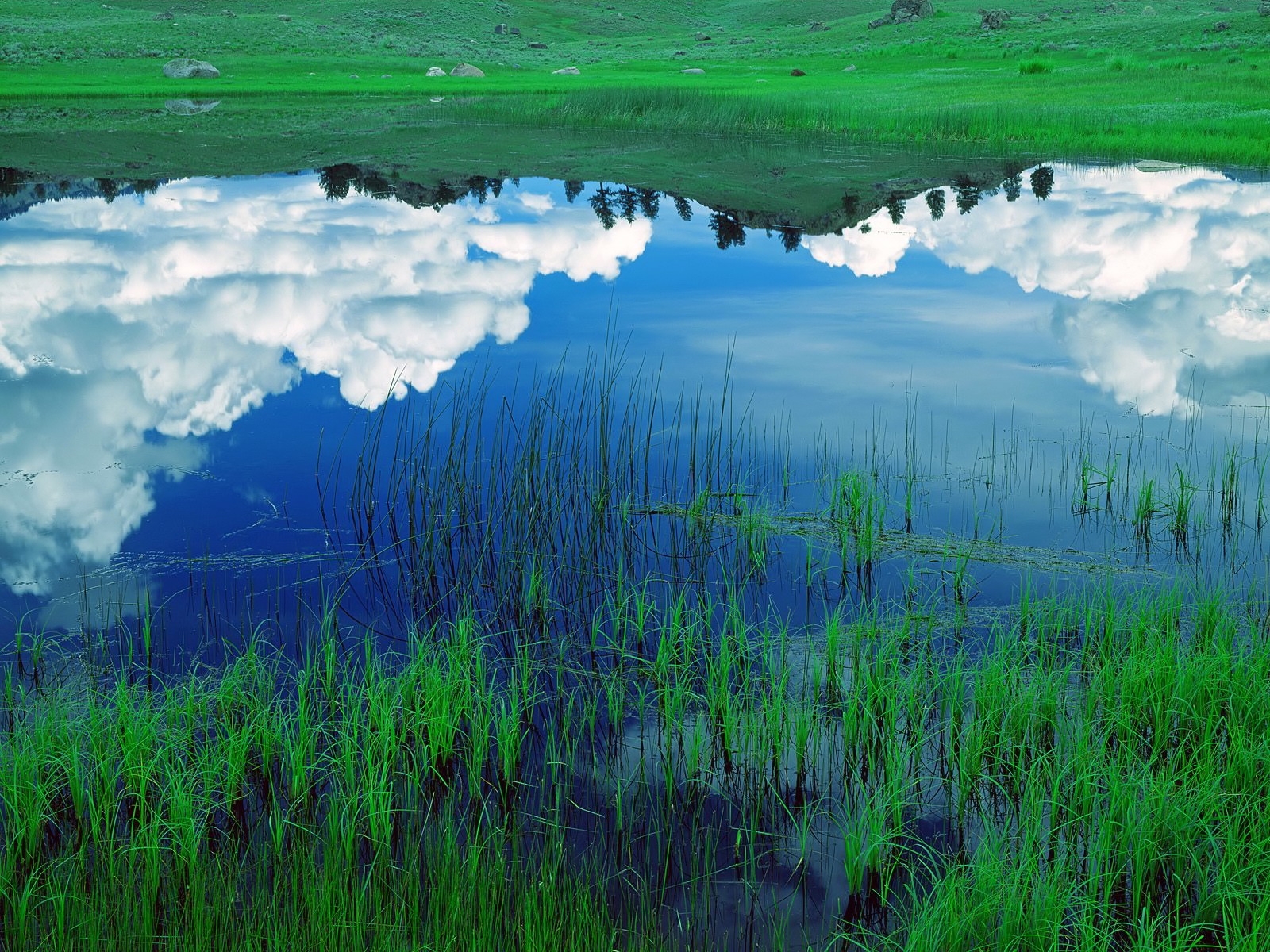 paysage, blanc, colline, Lac, eau, la nature, réflexion, herbe, ciel, champ, des nuages, vert, bleu, parc national, région sauvage, Banque, Paysage de monture, réserve naturelle, steppe, Zone humide, nuage, arbre, Montagne, prairie, pâturage, Cours d'eau, végétation, agriculture, Prairie, plaine, montagnes, prairie, surgir, le marais, Écosystème, Biome, Famille d'herbe, station de montagne, rizière, Écorégion, marais, ressources en eau