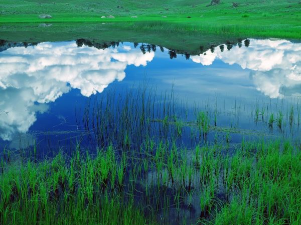 paysage,colline,Lac,eau,la nature,blanc