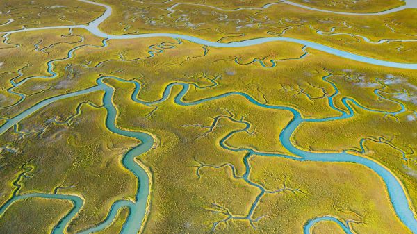 Mockhorn Island,Natura,krajobraz,rzeka,Virginia,USA