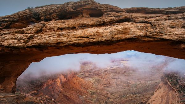 nature, landscape, canyon, rock formation, mist, plants