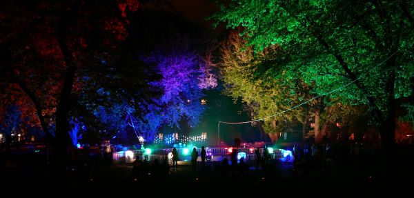 lights,christmas lights,trees,colorful,night,park