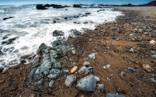 sea,water,rock,nature,shore,sand