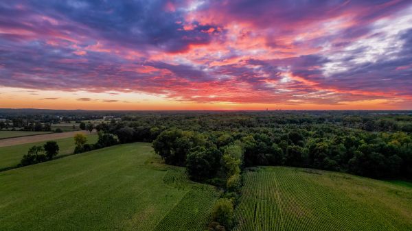 panorama,Árvores,milho,Zangão,nuvens,Fazenda