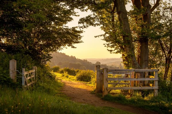 natureza,panorama,Luzes,scenic drive,Inglaterra,verão