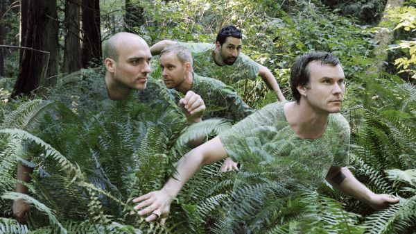 trees,forest,hands,grass,green,band