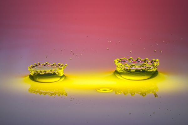 photography,water drops,Water Splash,2048x1363 px,depth of field,macro