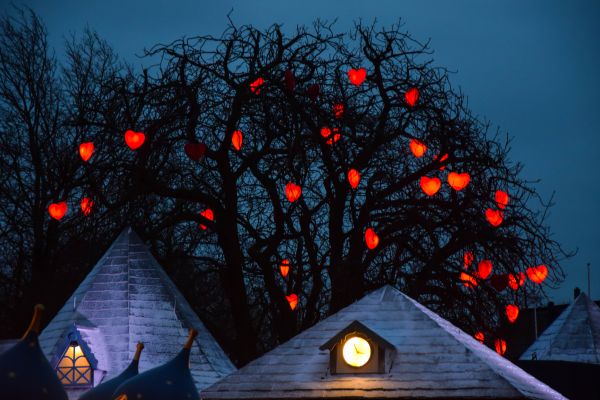 noche,rama,noche,Árbol de Navidad,Navidad,fiesta