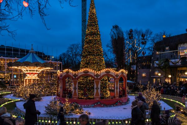 nacht, avond, Kerstboom, Kerstmis-, park, toevlucht