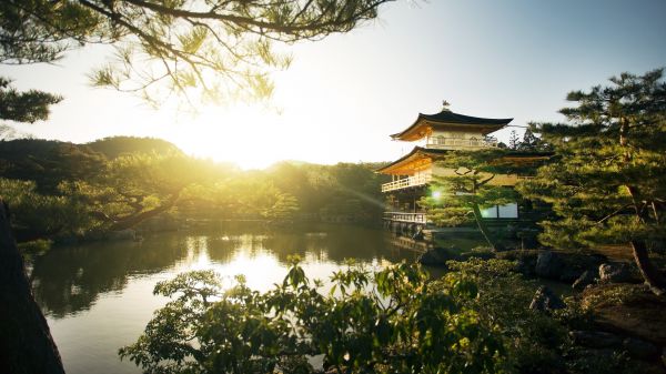 風景,湖,日本,寺院,日光,木