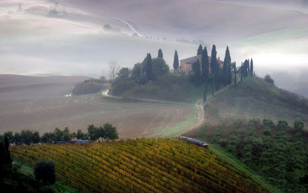 champ,Italie,paysage,2560x1600 px,ferme,brouillard