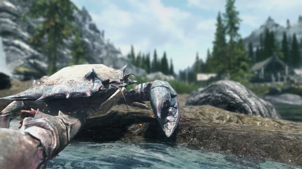 videogiochi,The Elder Scrolls V Skyrim,Pergamene antiche,1920x1080 px,veicolo,rettile