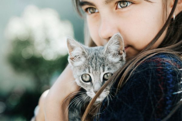 cara,modelo,retrato,amor,gato,sonriente