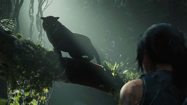 Дикая кошка,Shadow of the Tomb Raider,Лара Крофт