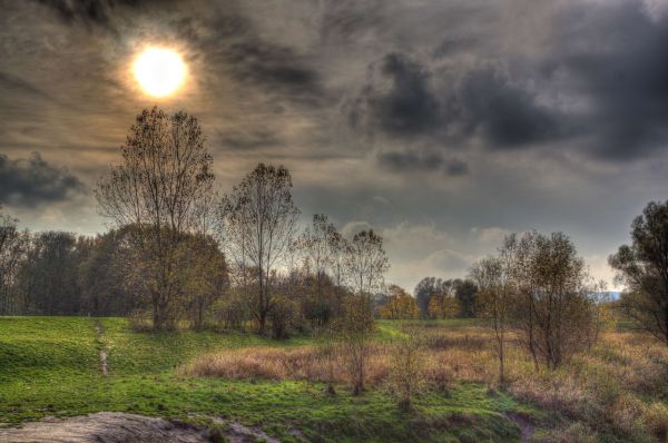 lumina soarelui, copaci, peisaj, pădure, apus de soare, deal