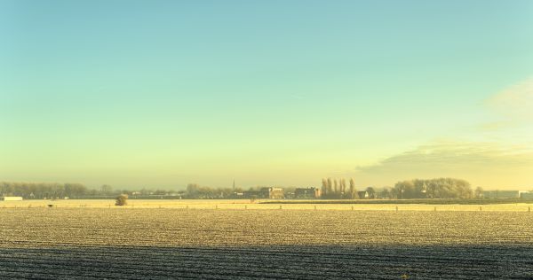 50mm,d5,holländska,HDR,nederland,januari