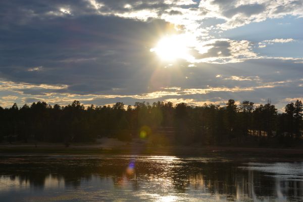 Puut,maisema,vesi,auringonvalo,auringonlasku,järvi