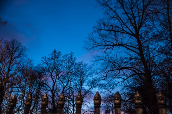 Sonnenlicht, Sonnenuntergang, Stadt, Nacht-, Natur, Wald